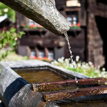 Tschuggen 48 * Blatten bei Naters
